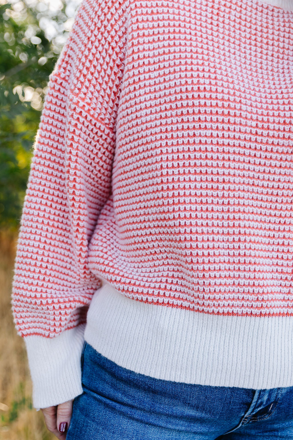 Charlotte Sweater