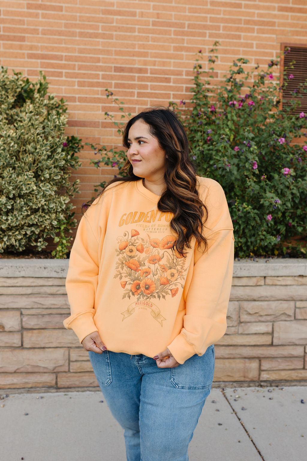 Tangerine Dream Pullover